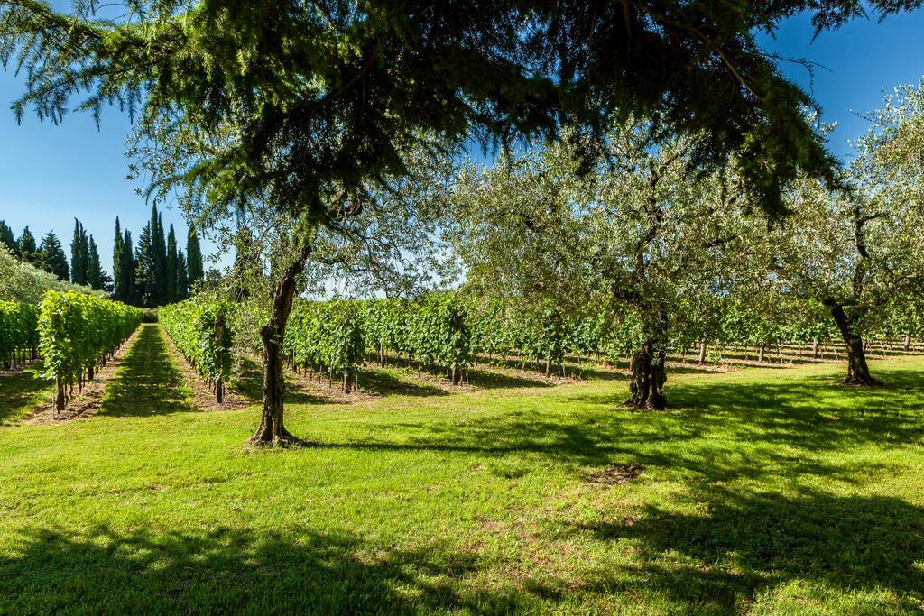 Quercia Belvedere Relais Bardolino Ngoại thất bức ảnh