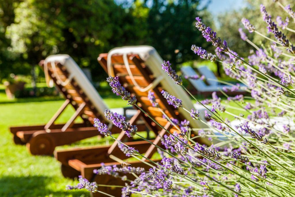 Quercia Belvedere Relais Bardolino Ngoại thất bức ảnh