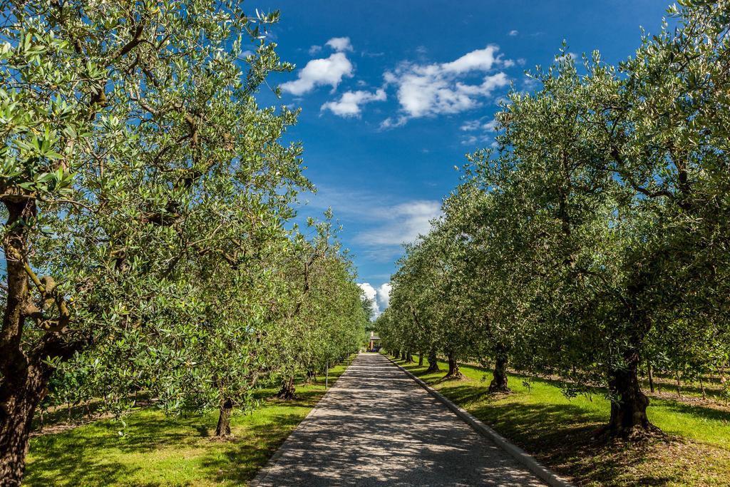 Quercia Belvedere Relais Bardolino Ngoại thất bức ảnh